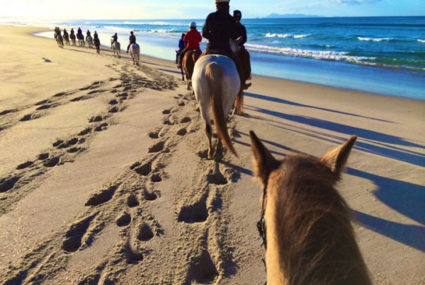 cavalgada na praia